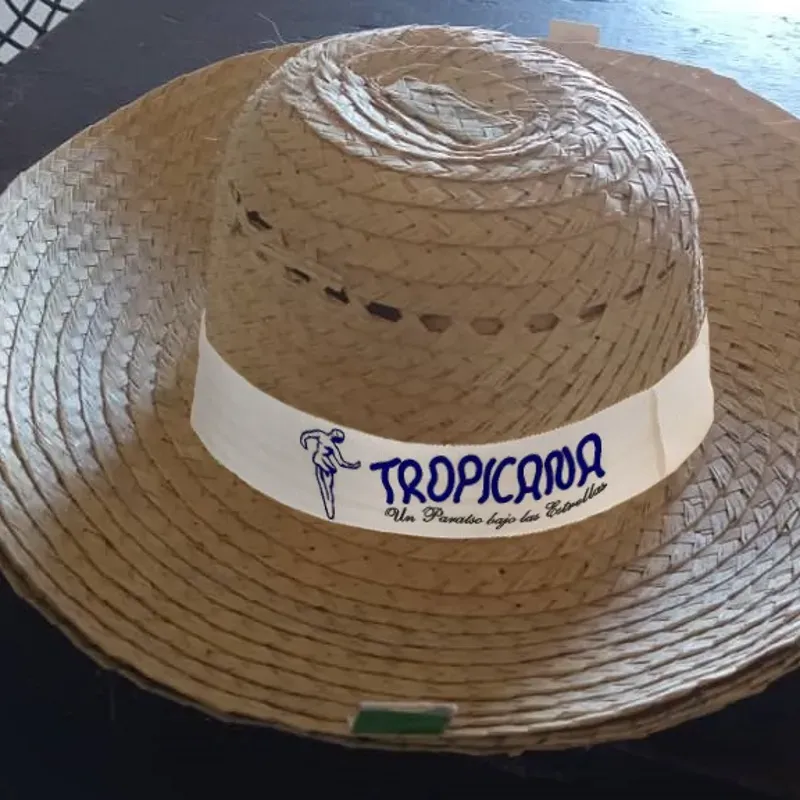 Sombrero de  Yarey