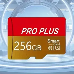 Micro SD 256 GB