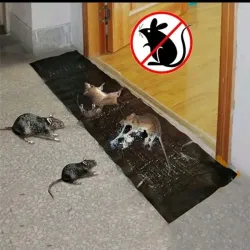 Estera Trampa para Ratas 