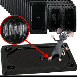 Trampa Pegamento para Ratas 
