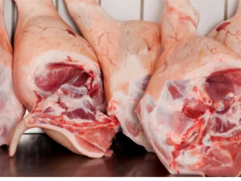 Cárnicos y embutidos 🥩🍖🍗🥓