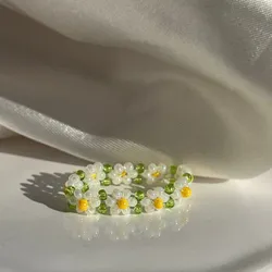 anillo