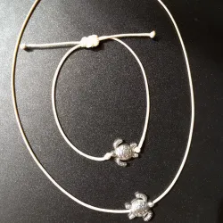 Conjunto sencillo con dije 🐢