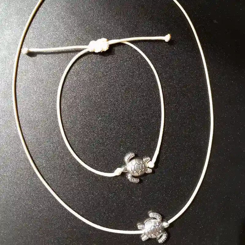 Conjunto sencillo con dije 🐢