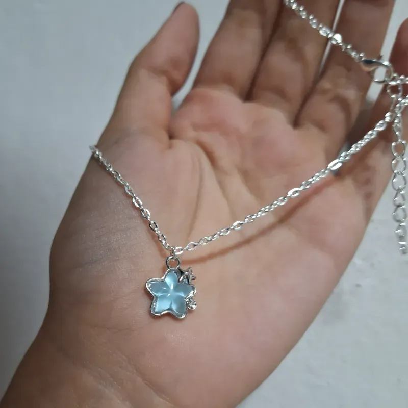 Collar de Estrella 