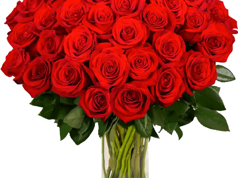 Arreglos con flores 🌷 