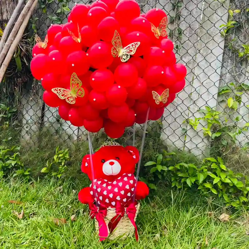 Cesta de globo aerostático 
