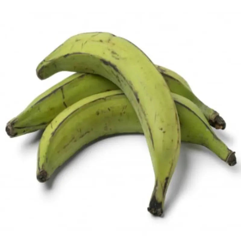 Plátano macho 