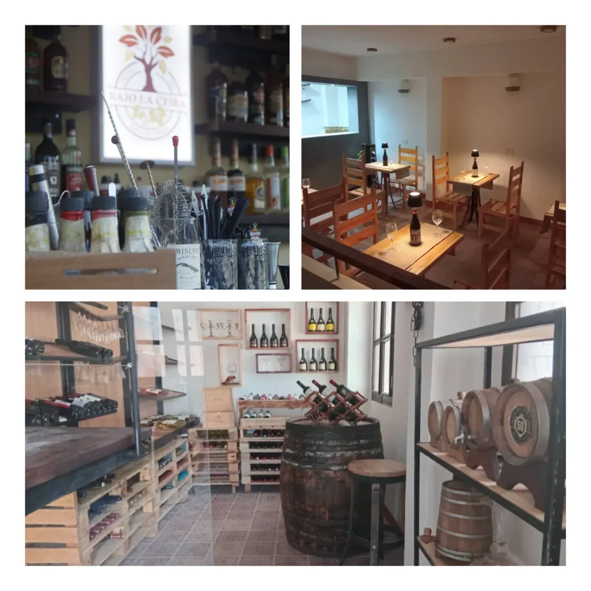 Tienda Bajo la Ceiba