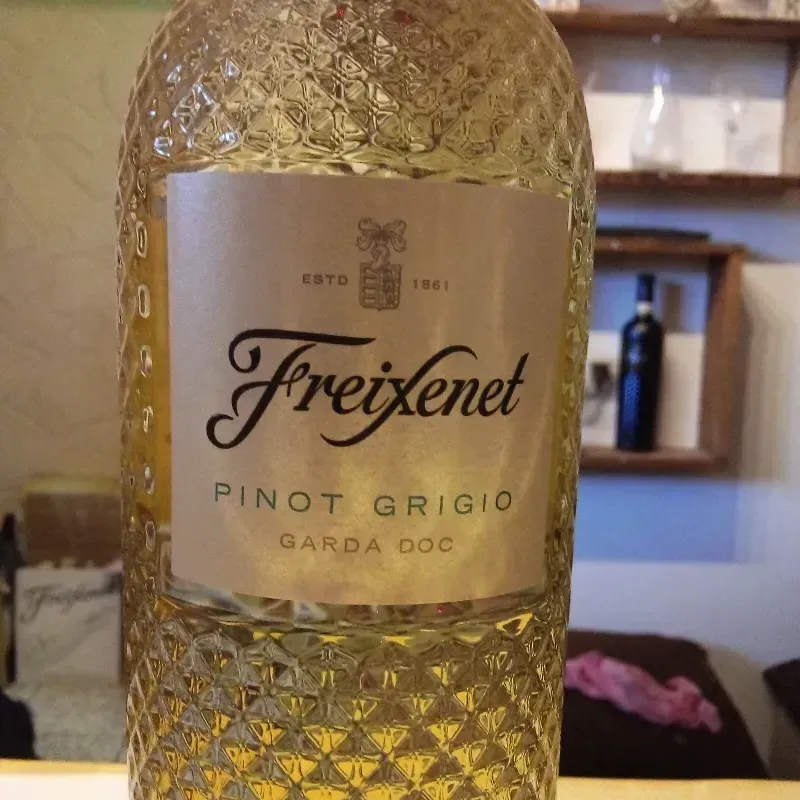 Freixenet Pinot Grigio 