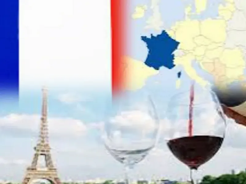 Vinos Franceses