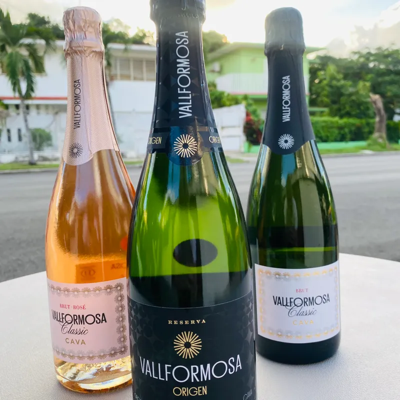 Vallformosa Origen Reserva