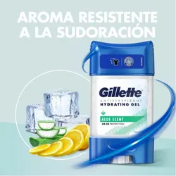 Desodorante Gillet Gel