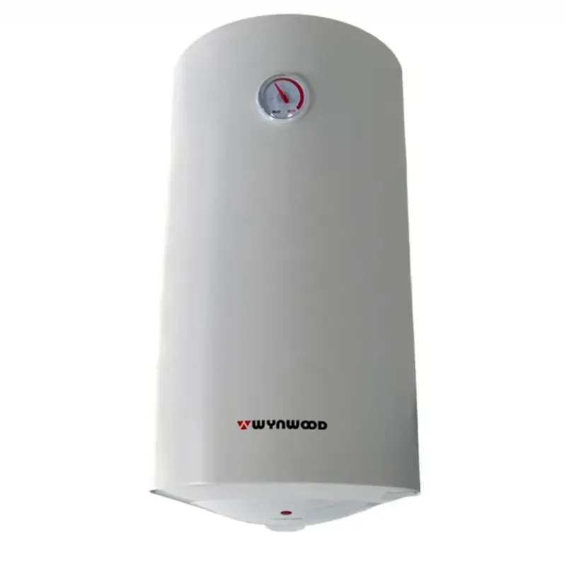 Calentador eléctrico de agua 