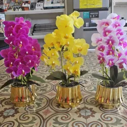 Masetas doradas de orquídeas artificiales 