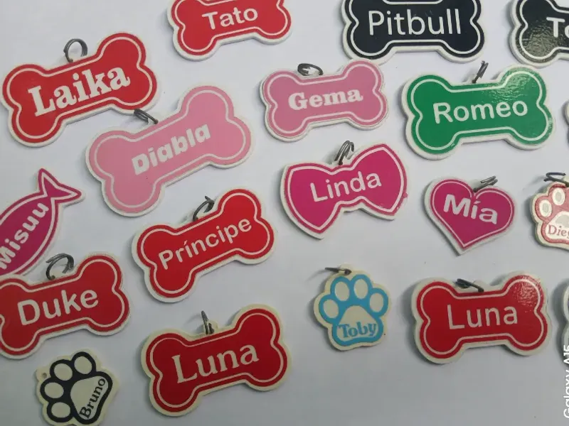 CHAPITAS DE IDENTIFICACIÓN PARA MASCOTAS