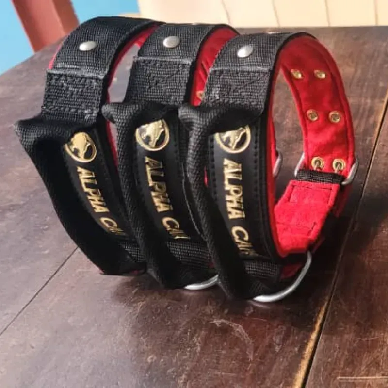 Collar de entrenamiento