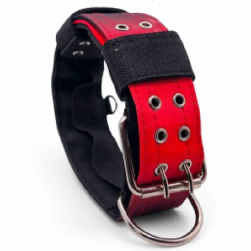 Collar de Paseo