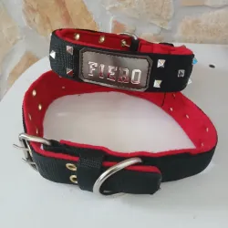 Collar Fiero con Pincho