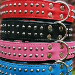 Collar life Grande