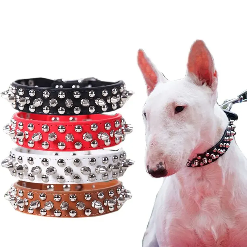 Collar Pitbull Grande