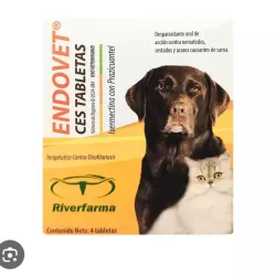 Endovet