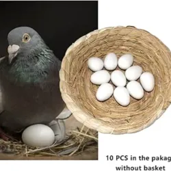 Huevo Falso de Paloma (venta × unidad)