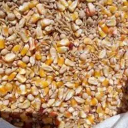 Lb alimento ASA II para palomas 