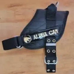 Pechera Alpha Can Chica