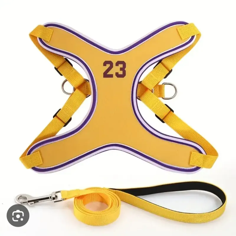 Pechera Baloncesto ( chica)