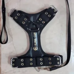 Pechera entrenamiento Alpha Can ( sin cordón)