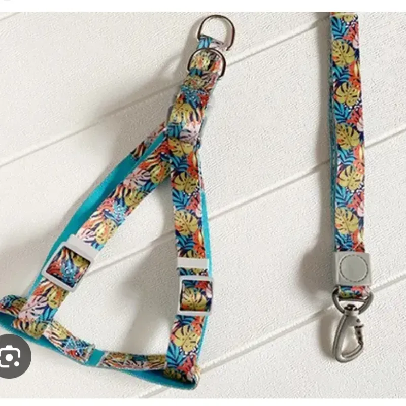 Pechera floreada chica
