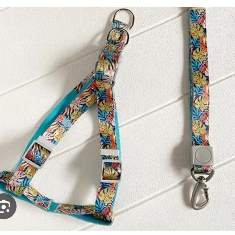 Pechera floreada Grande 