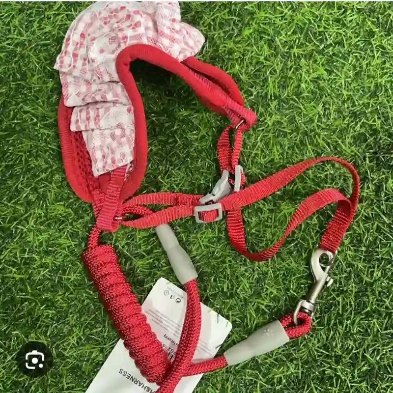 Pechera Lambada Mediana