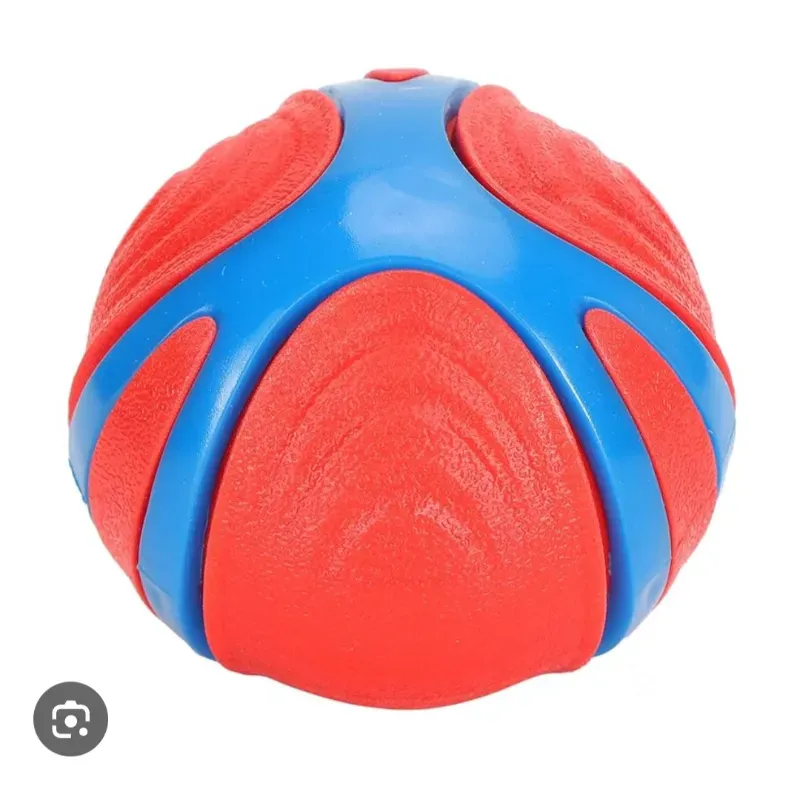Pelota