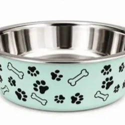 Plato de Acero inoxidable de 32 onza