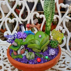 Minijardin color morado 