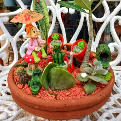 Minijardin color naranja 