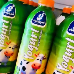 Yogurt Gustatini 