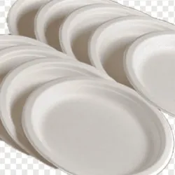 Platos desechables