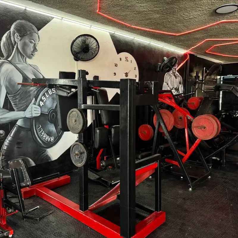 Musculación Tren Inferior🦵