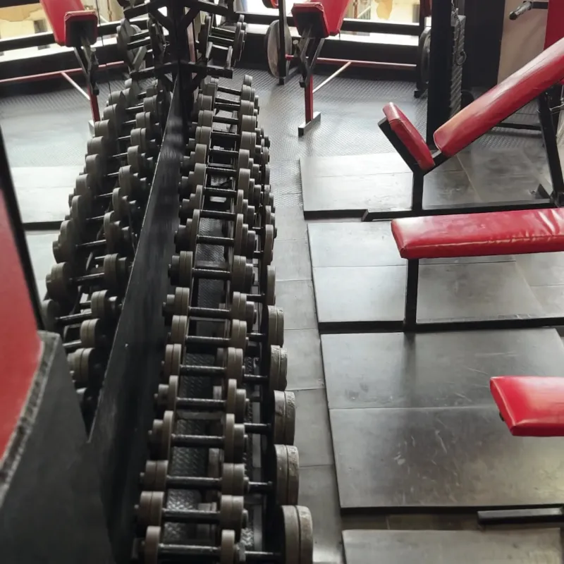 Musculación Tren superior 🦾