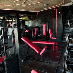 Musculación Tren Superior 💪