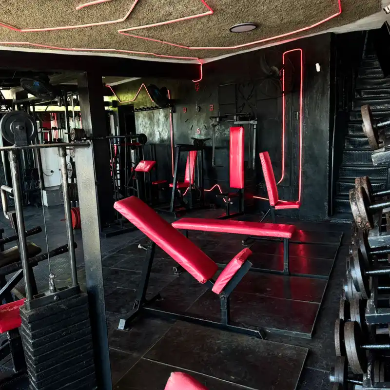 Musculación Tren Superior 💪