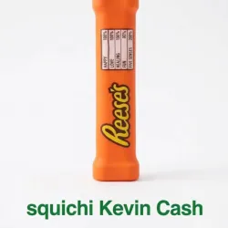 Squichi