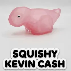 Squichi