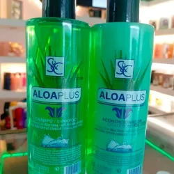 Champú y Acondicionador 