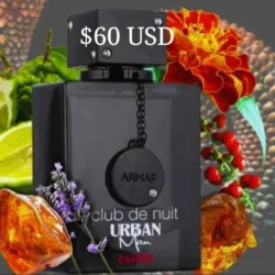 Club Nuit Urban Man Elixir