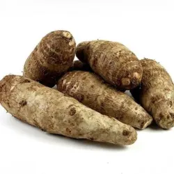 Malanga (lb)