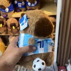 Capibara con ropa #1